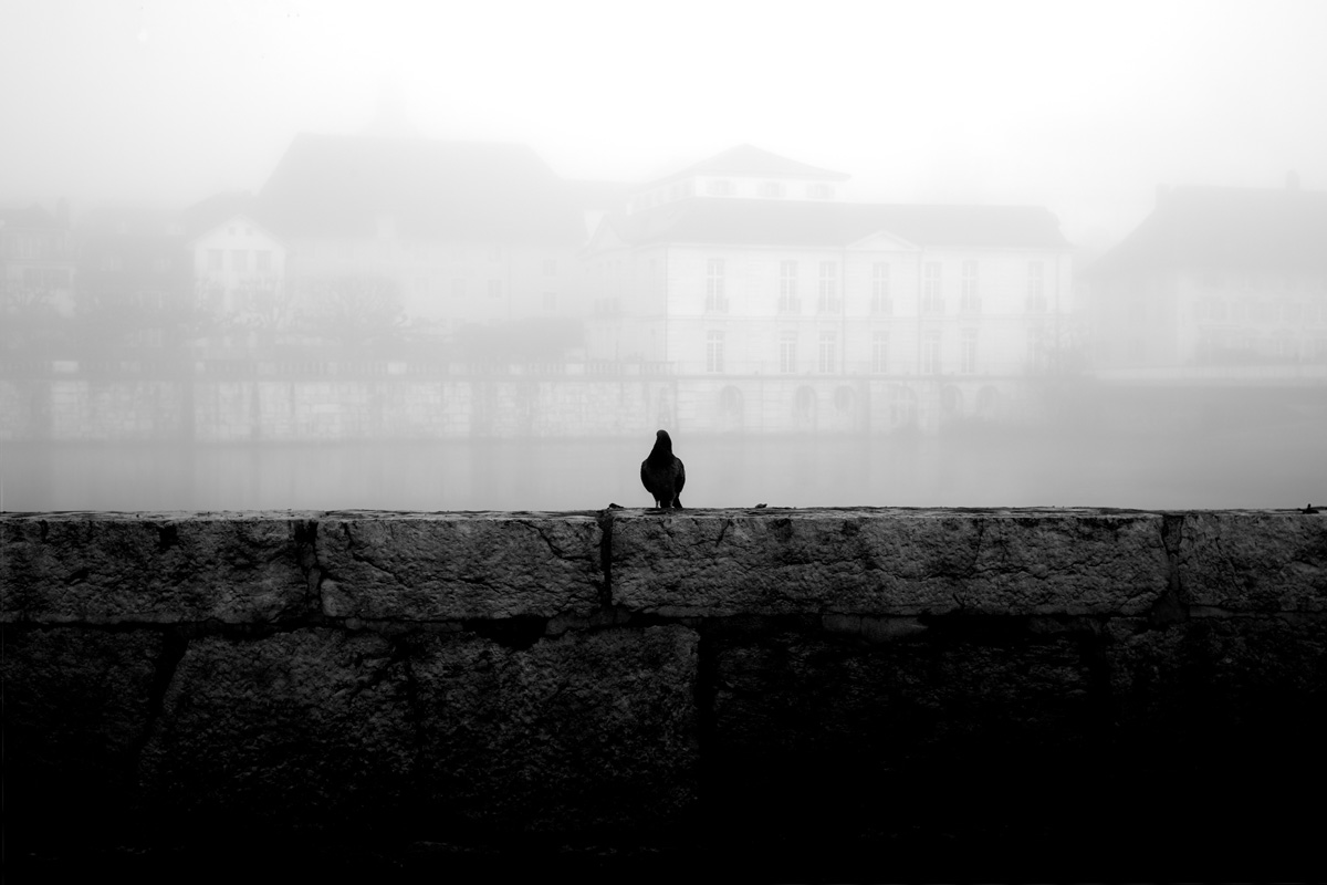 streetphotography Favorites